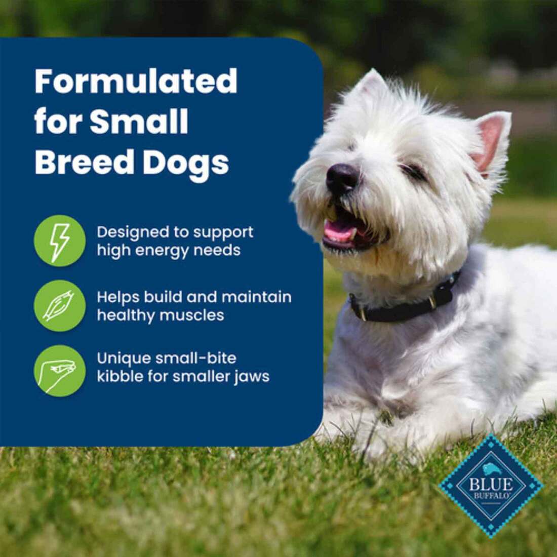 Blue Buffalo Life Protection Formula Small Breed Adult Dry Dog Food, Lamb, 5 Pounds