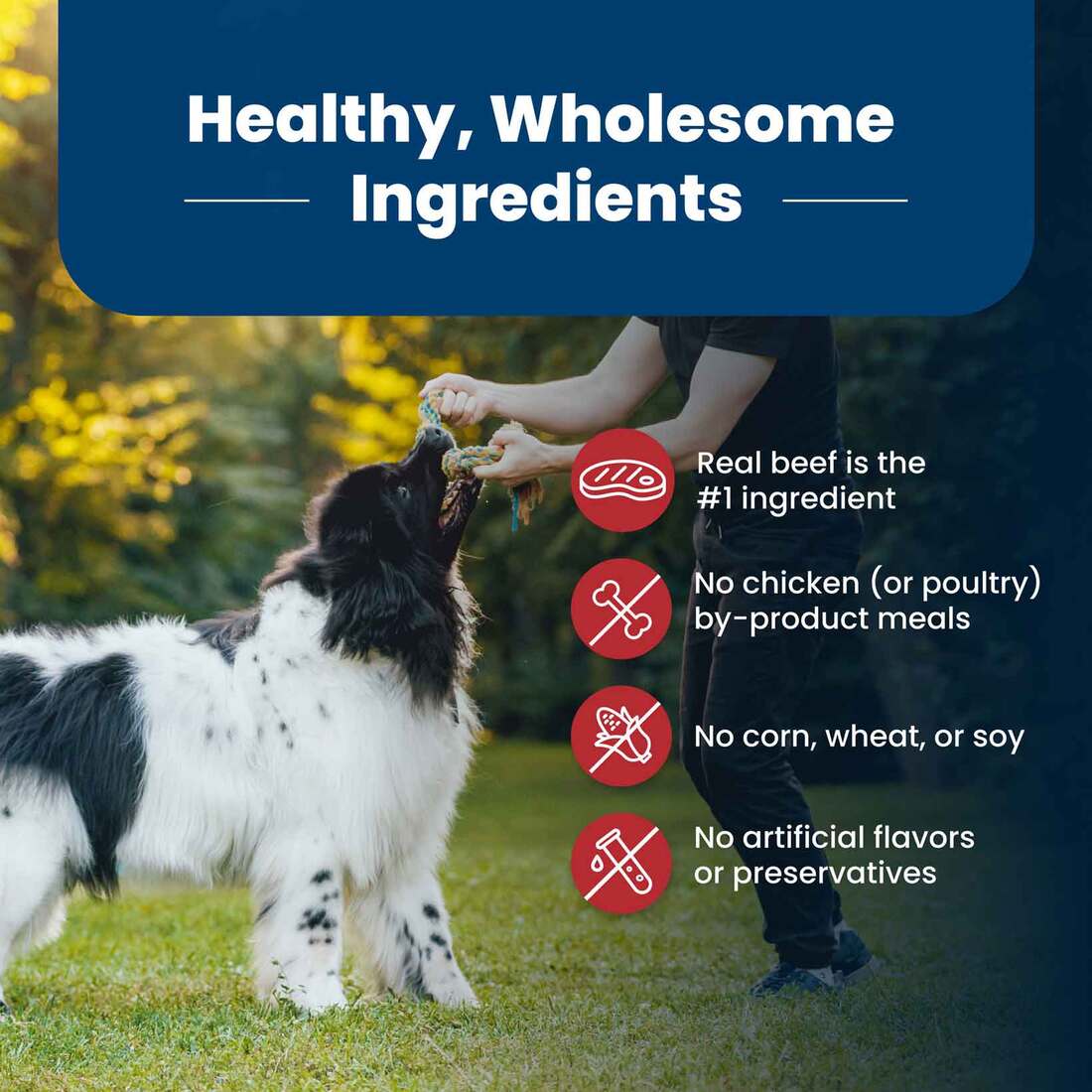 Blue Buffalo Life Protection Formula Adult Dry Dog Food, Beef, 5 Pounds