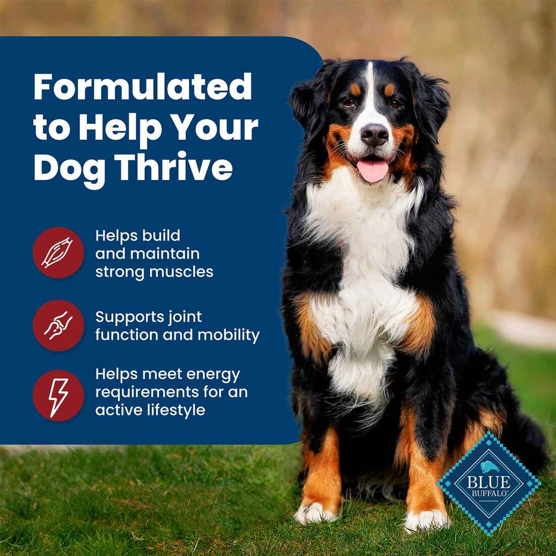 Blue Buffalo Life Protection Formula Adult Dry Dog Food, Beef, 30 Pounds