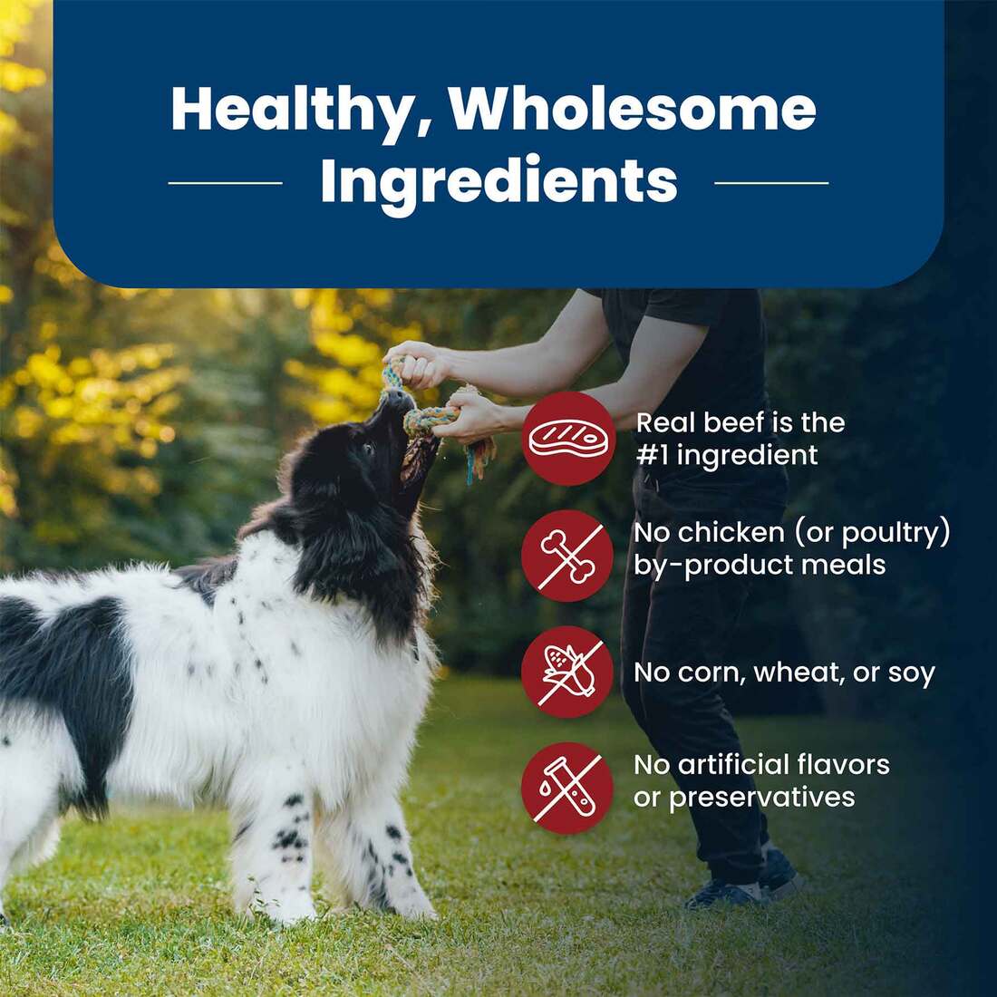 Blue Buffalo Life Protection Formula Adult Dry Dog Food, Beef, 30 Pounds