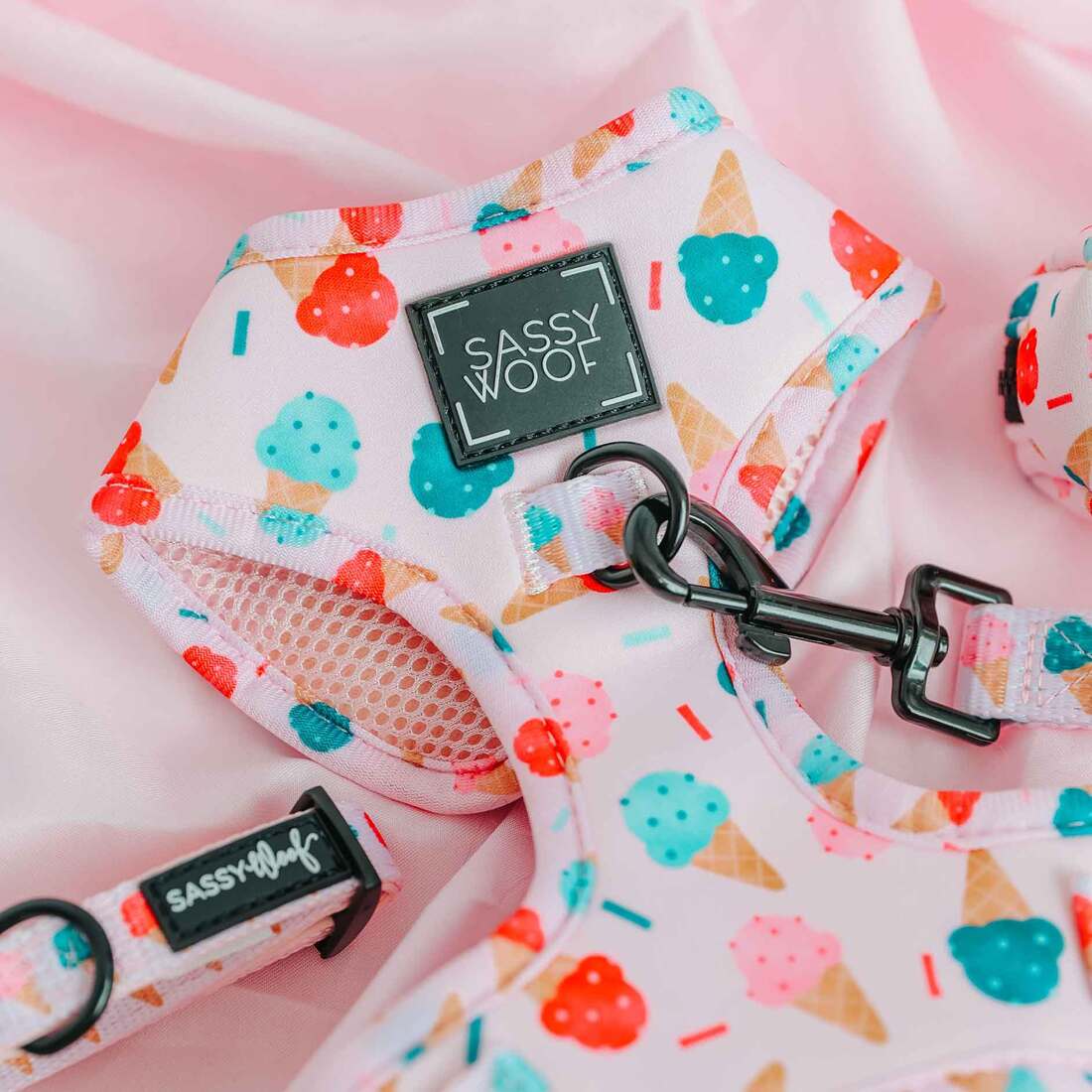 Sassy Woof Adjustable Dog Harness, A Sprinkle of Sass, Small | Pet