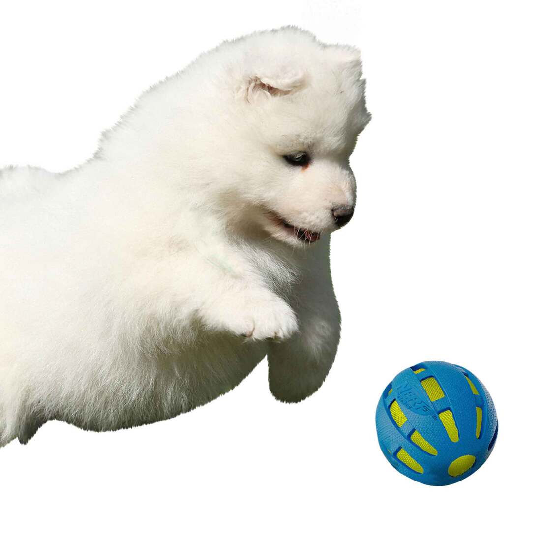 846998051262_2