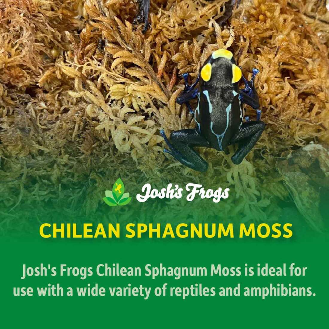 Joshs Frogs Chilean Sphagnum Moss