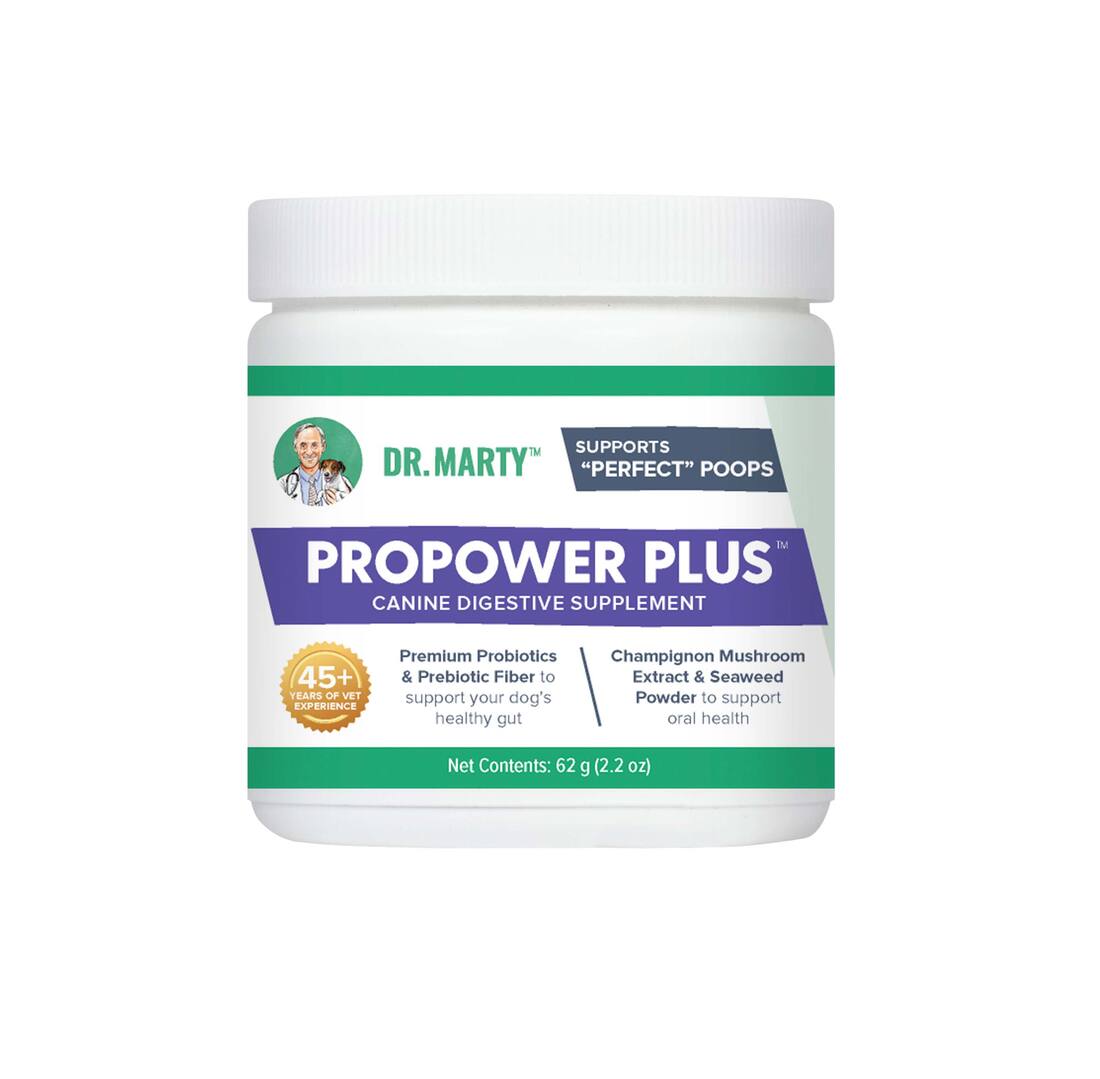 Dr. Marty Pro Power Plus Powder,  2.2 Ounces