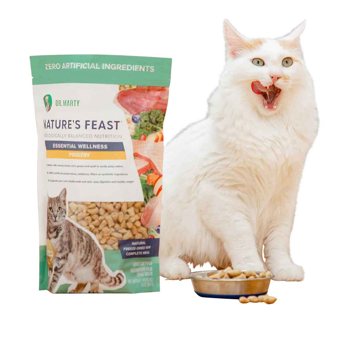 Dr Marty Nature's Feast Freeze Dried Cat Food, Essential Wellness
