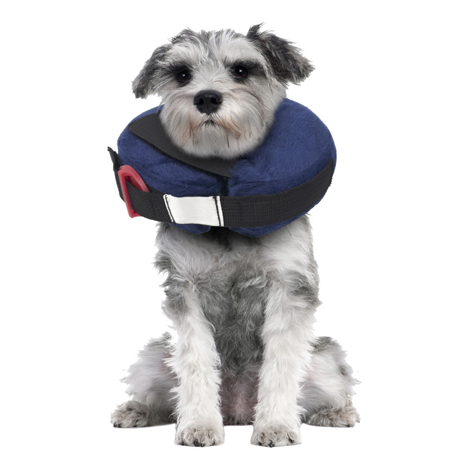 Calm Paws Inflatable Protective Collar, Extra Small