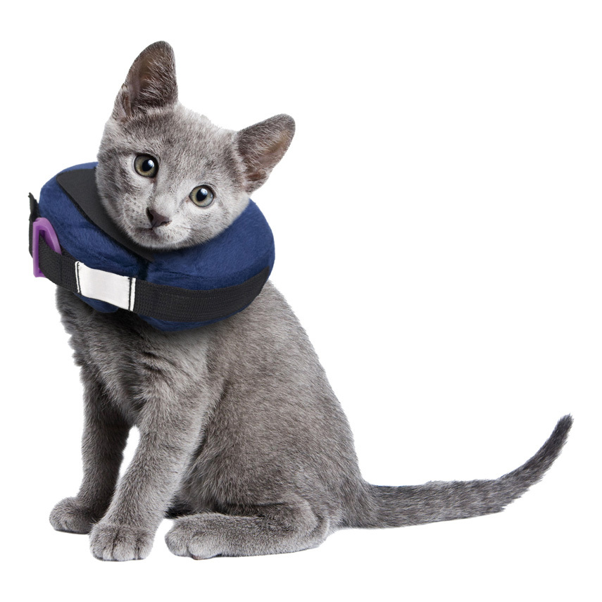 Calm Paws Inflatable Protective Collar, Extra Small
