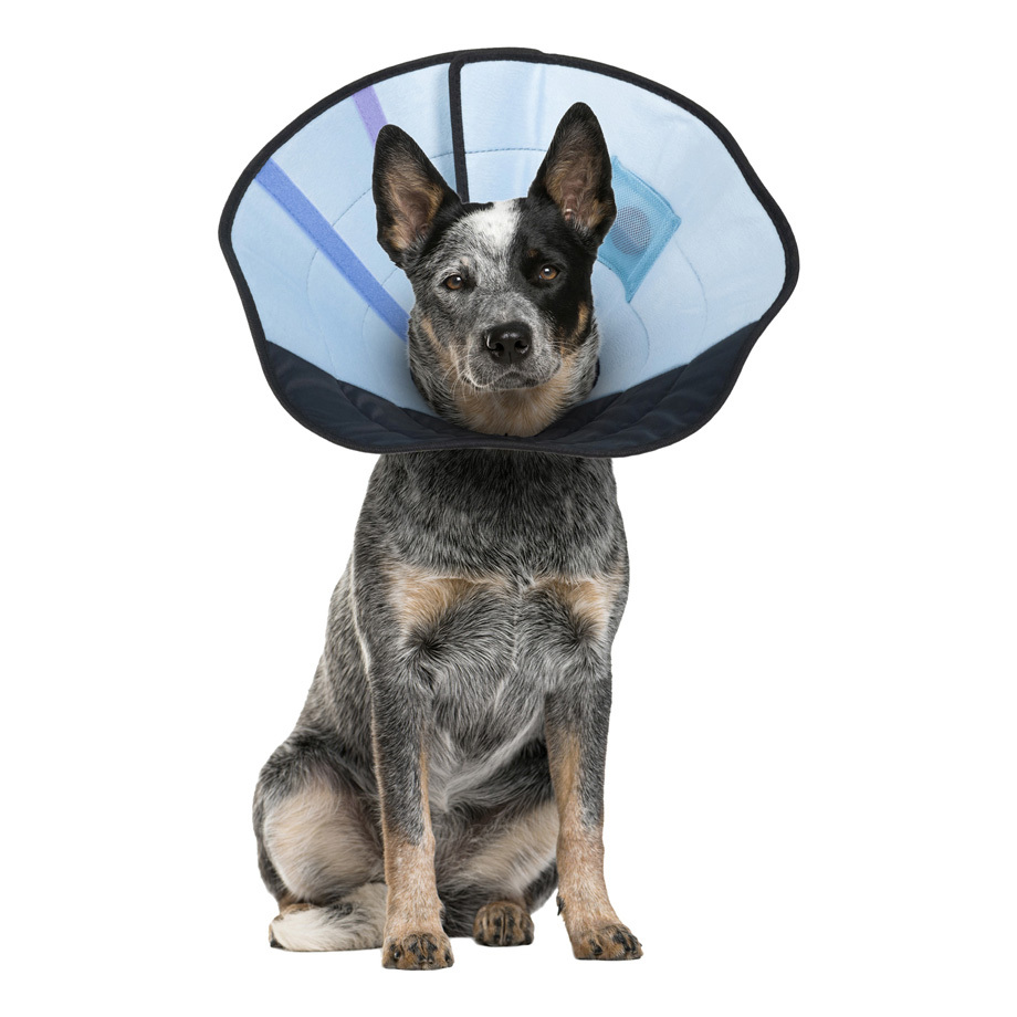 Calm Paws Dog Caring Collar With Calming, Medium