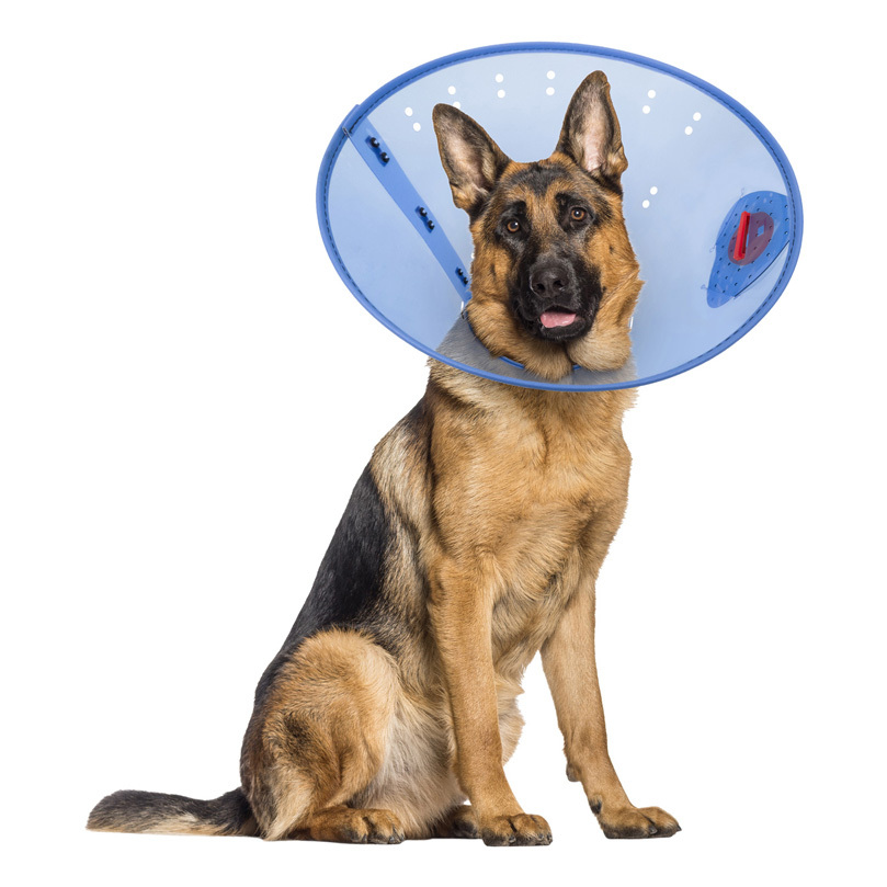 Calm Paws E-Collar, Extra Large, 12.25" To 21"