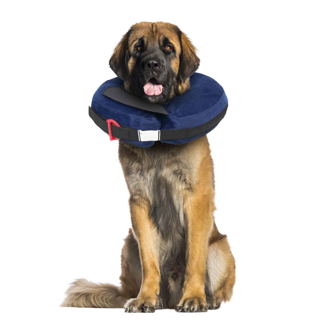 Calm Paws Inflate Protective Collar, Extra Large