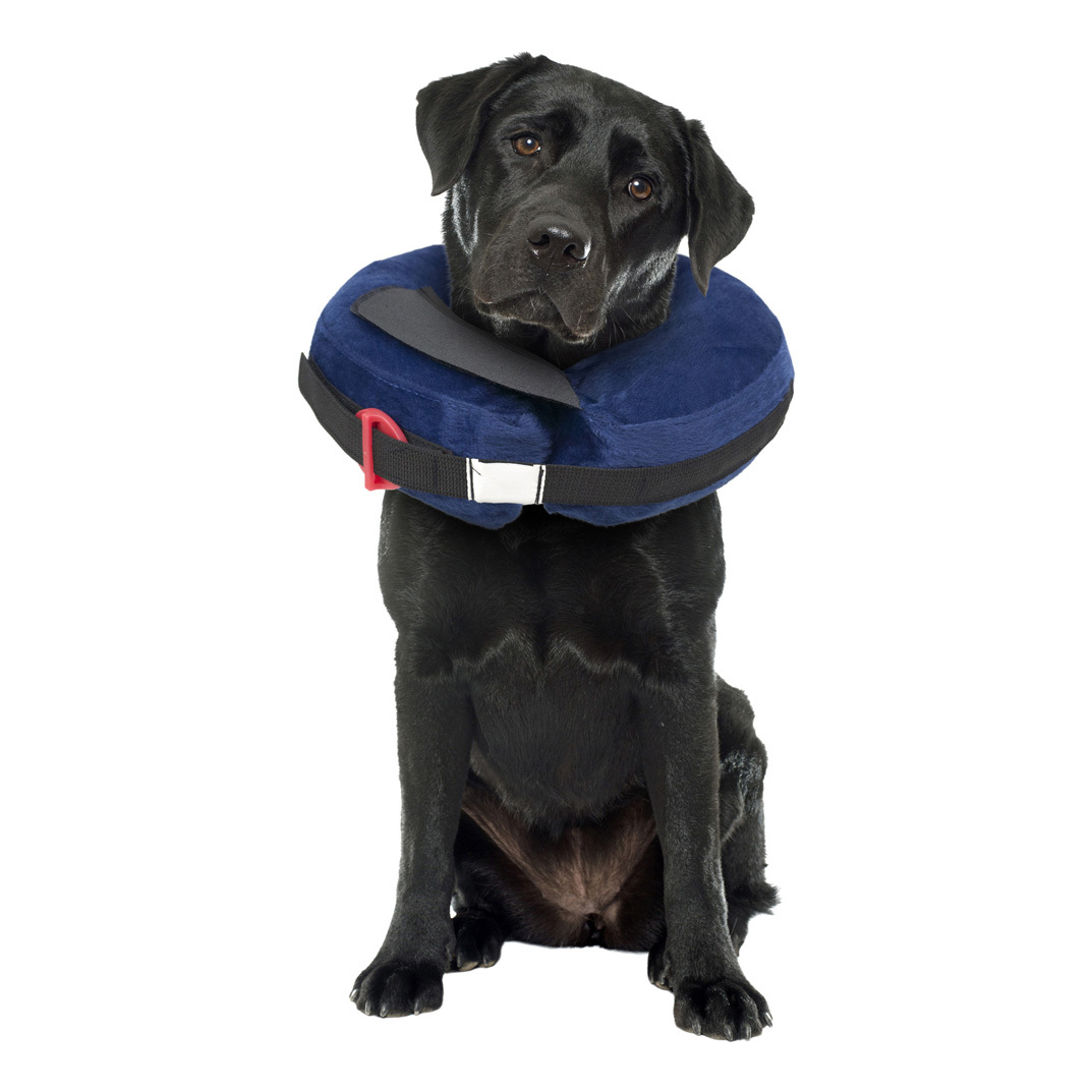 Calm Paws Inflatable Protective Collar, Large