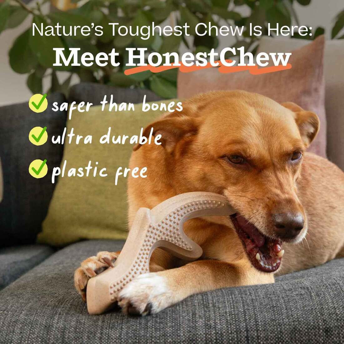 Woof HonestChew Antler Dog Toy, Medium | Pet Supplies Plus