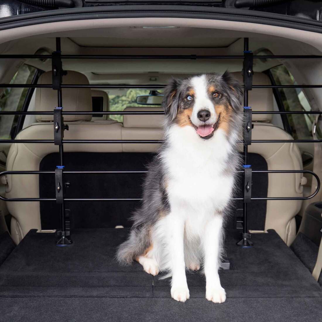 PetSafe Car Barrier, Adjustable Tubular, 32-49 Inches