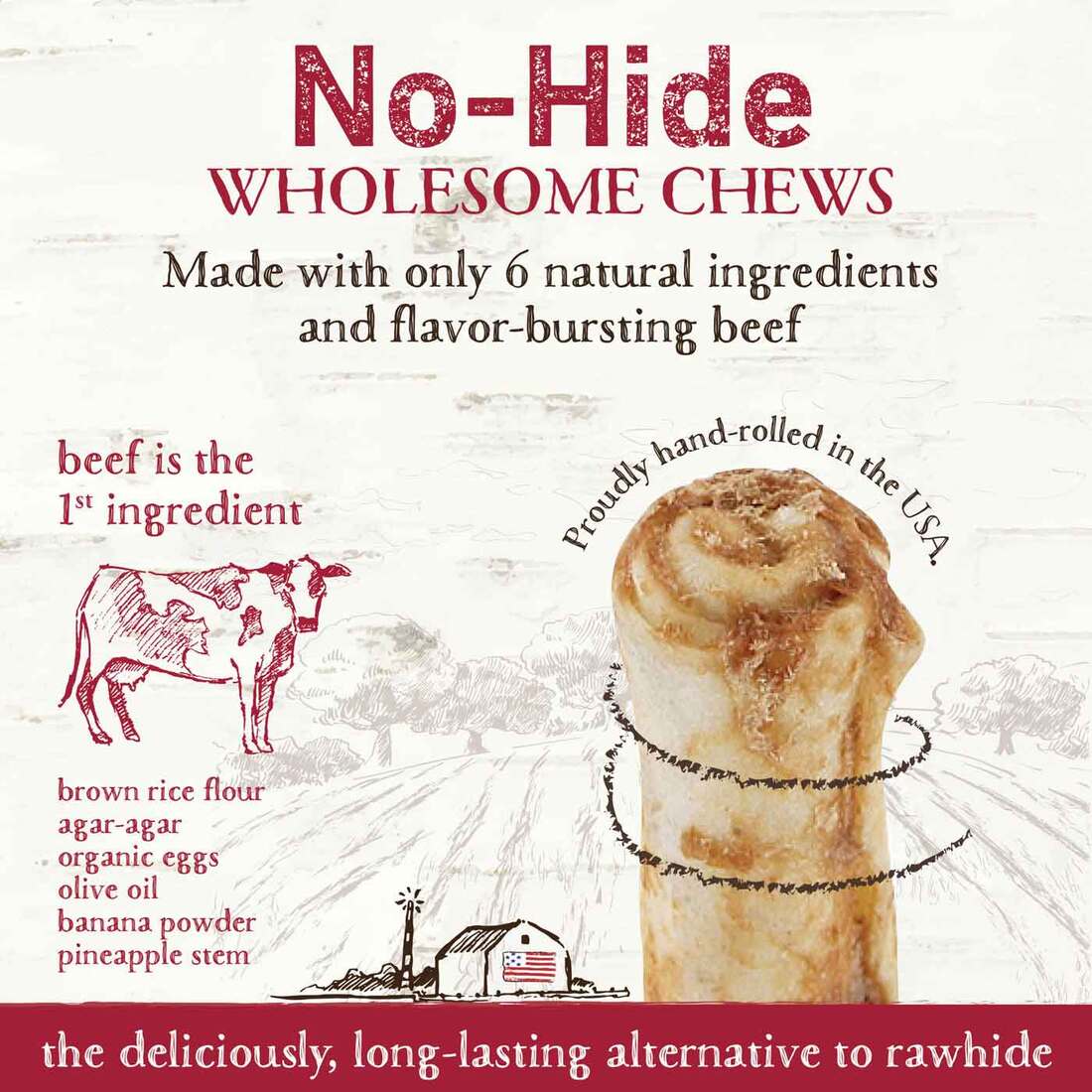 Earth Animal No-Hide Grass-Fed Beef Stix Natural Rawhide Alternative Dog & Cat Chews, 10 Pack