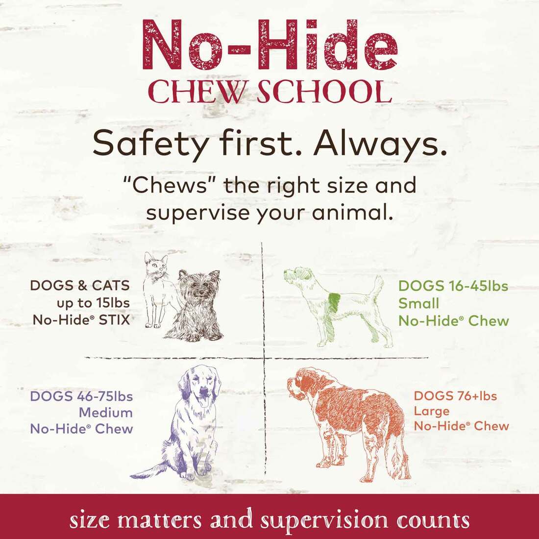 Earth Animal No-Hide Grass-Fed Beef Stix Natural Rawhide Alternative Dog & Cat Chews, 10 Pack