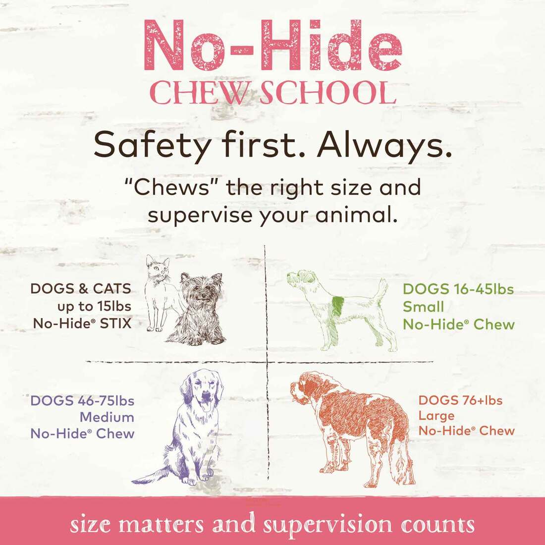 Earth Animal No-Hide Wild-Caught Salmon Medium Natural Rawhide Alternative Dog Chew, 1 Count