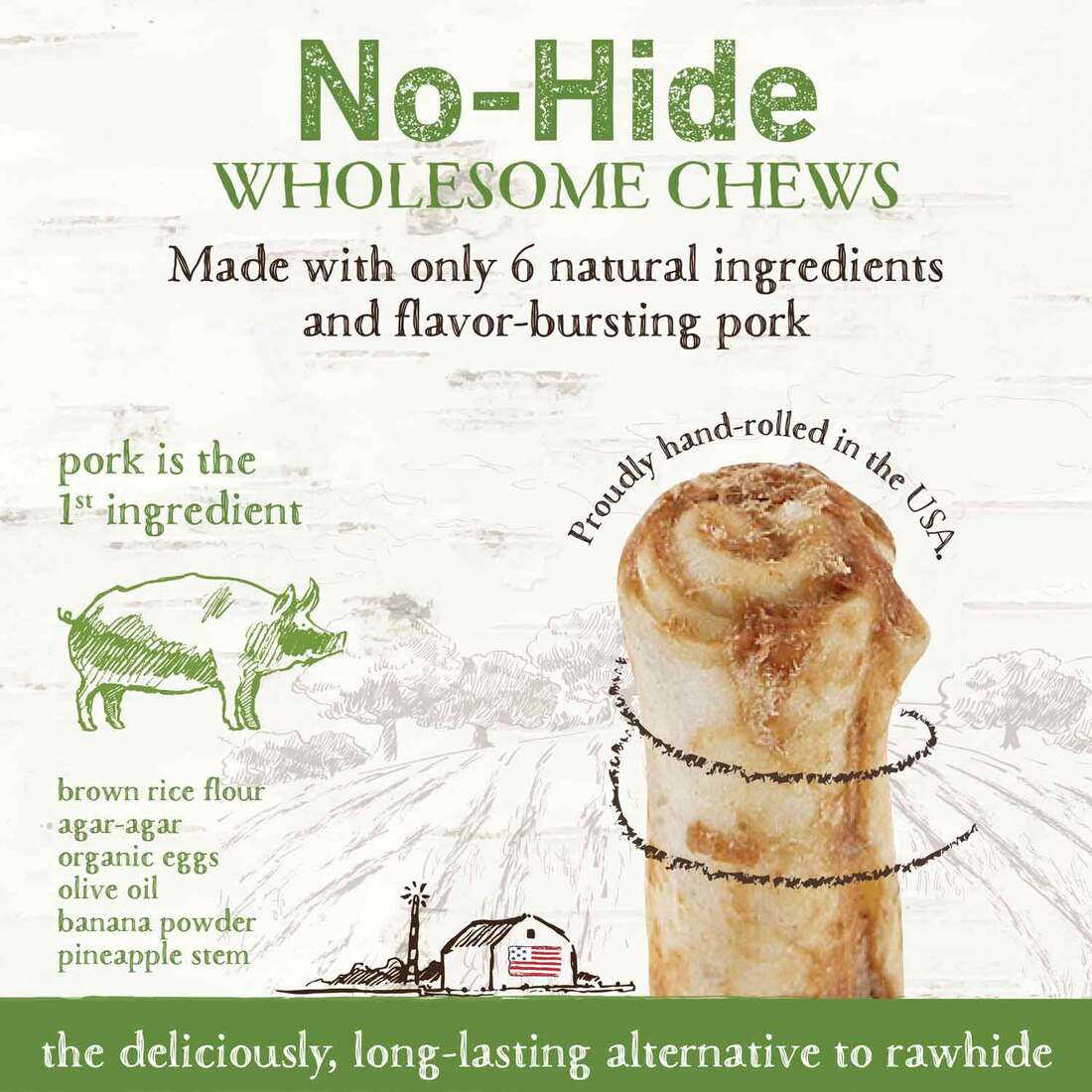 Earth Animal No-Hide Humanely-Raised Pork Small Natural Rawhide Alternative Dog Chew, 1 Count