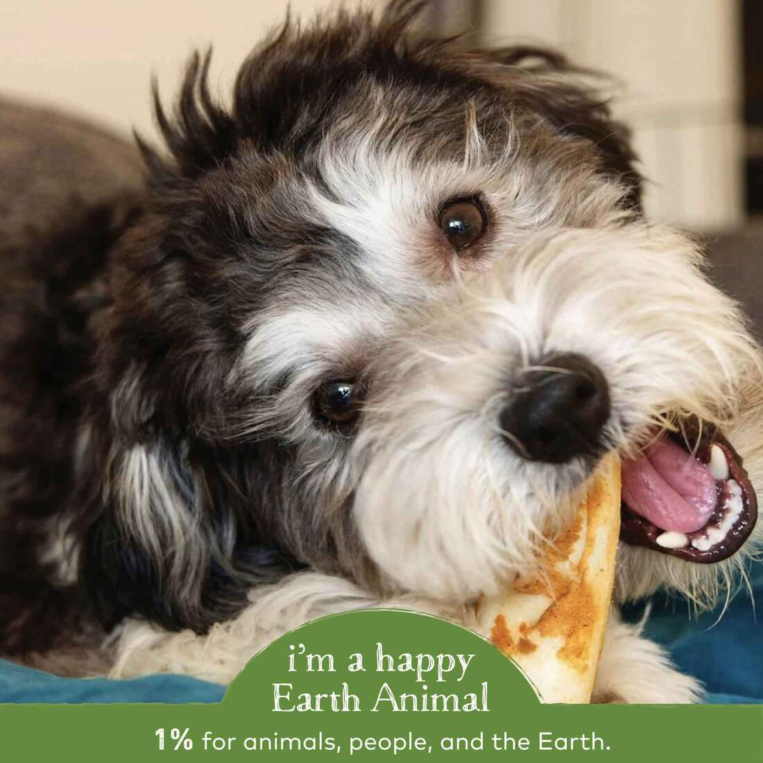 Earth Animal No-Hide Humanely-Raised Pork Small Natural Rawhide Alternative Dog Chew, 1 Count