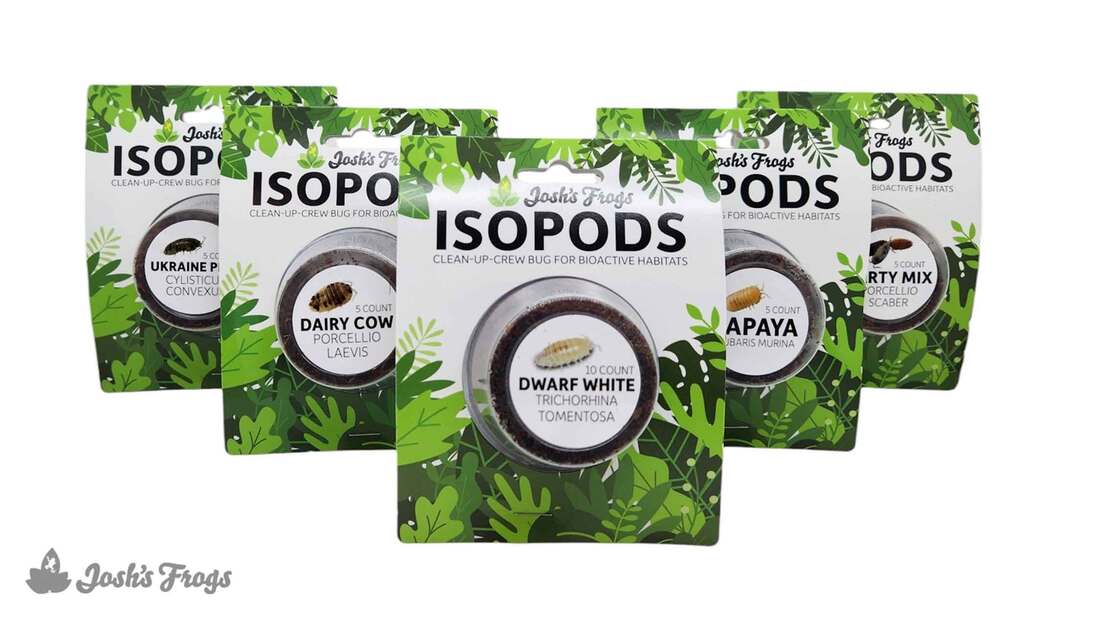 Joshs Frogs Isopod Hanger Cup, Assorted Species, 4 Ounces - Not Available For Delivery