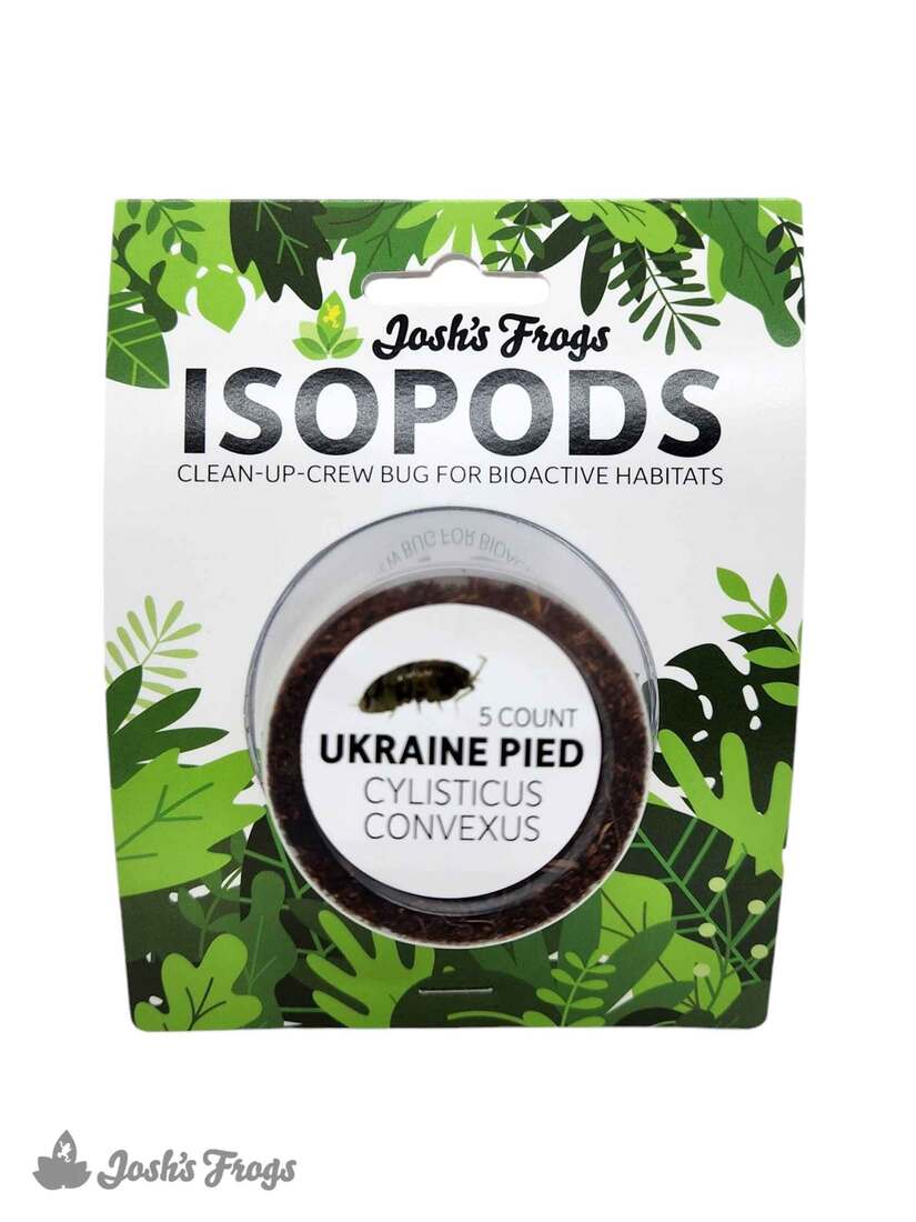 Joshs Frogs Isopod Hanger Cup, Assorted Species, 4 Ounces - Not Available For Delivery