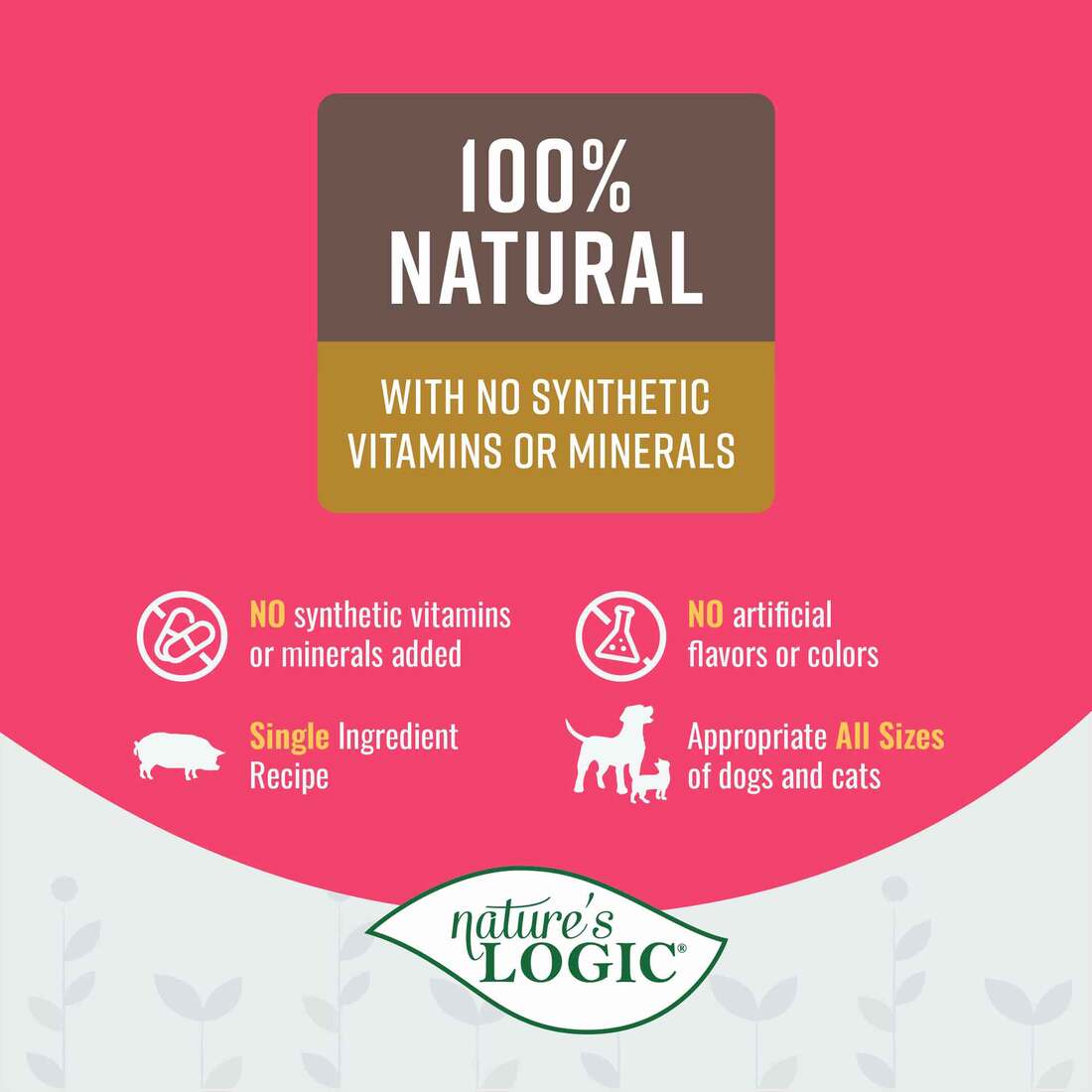 Nature's Logic Pork Broth Dog/Cat Food, 6 Ounces