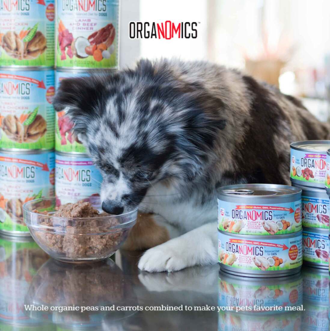 Dog Food Wet Food Evangers Organomics Grain-Free Wet Dog Food