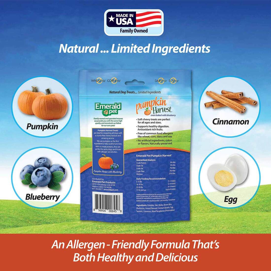 Emerald Pet Pumpkin Harvest Blueberry Chewy Dog Treats, 6 Ounces