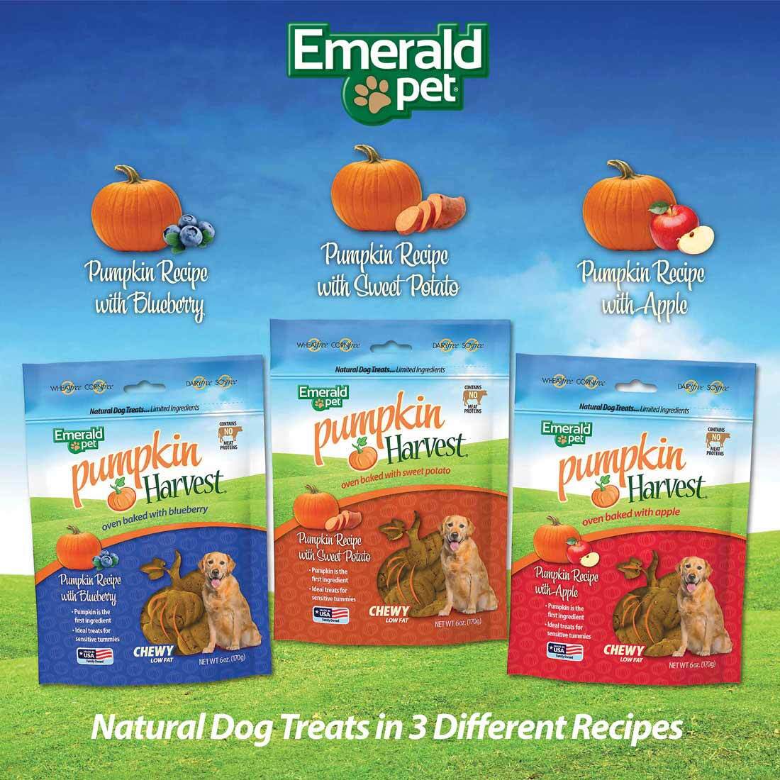 Emerald Pet Pumpkin Harvest Blueberry Chewy Dog Treats, 6 Ounces