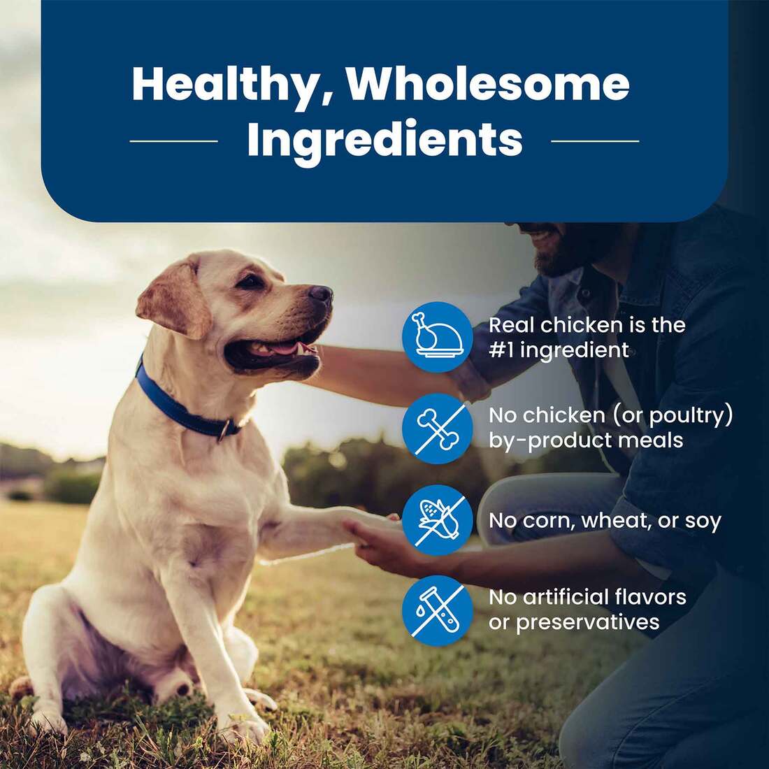 Blue Buffalo Life Protection Formula Natural Senior Dry Dog Food, Chicken and Brown Rice, 30 Pounds