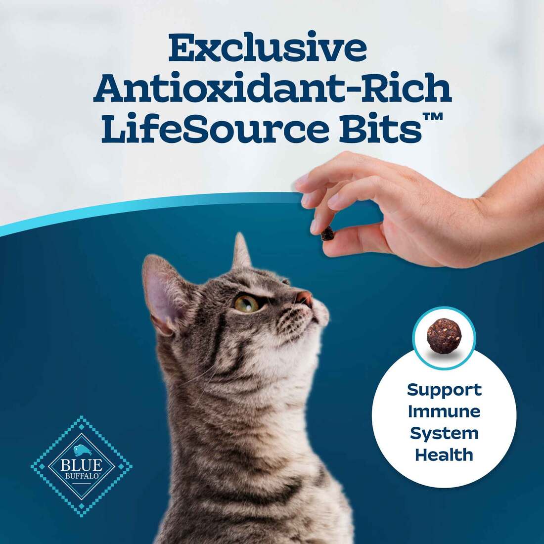 Blue Buffalo Tastefuls Adult Dry Cat Food Indoor Cat Formula, Salmon Recipe, 7 Pounds