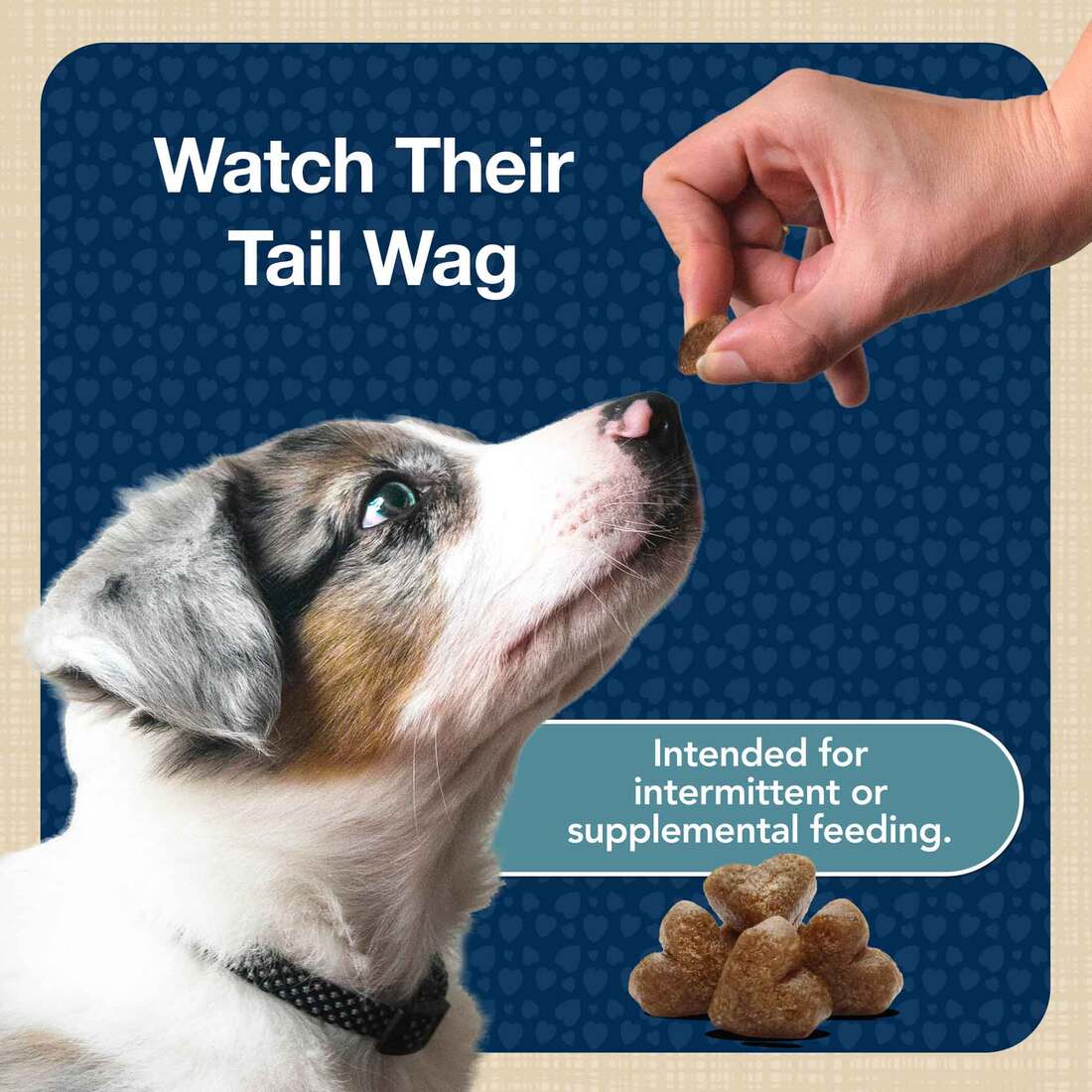 Blue Buffalo BLUE Training Bits Turkey Dog Treats, 4 Ounces