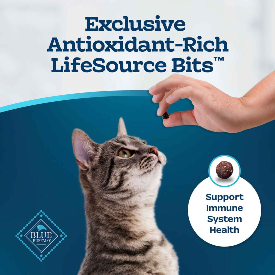 Blue Buffalo Tastefuls Sensitive Stomach Natural Adult Dry Cat Food, Chicken, 15 Pounds