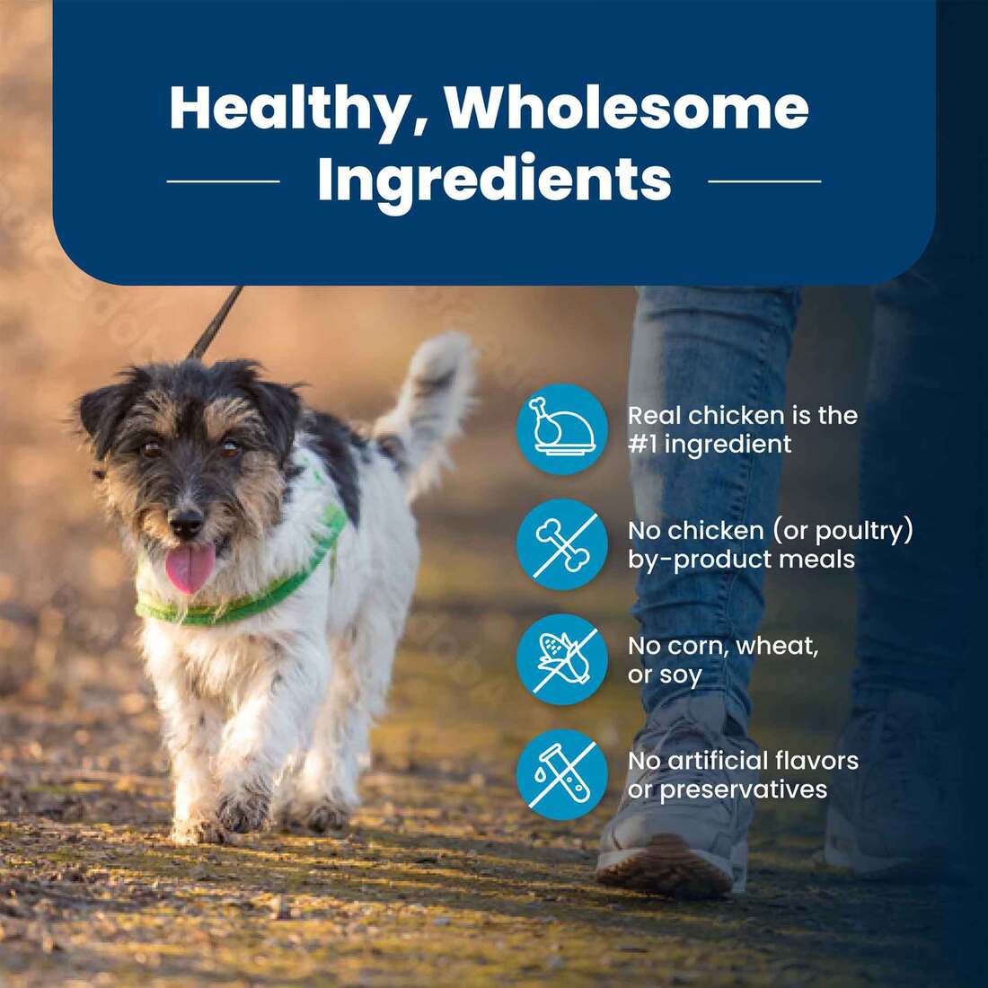 Blue Buffalo Life Protection Formula Natural Adult Small Bite Dry Dog Food, Chicken and Brown Rice, 