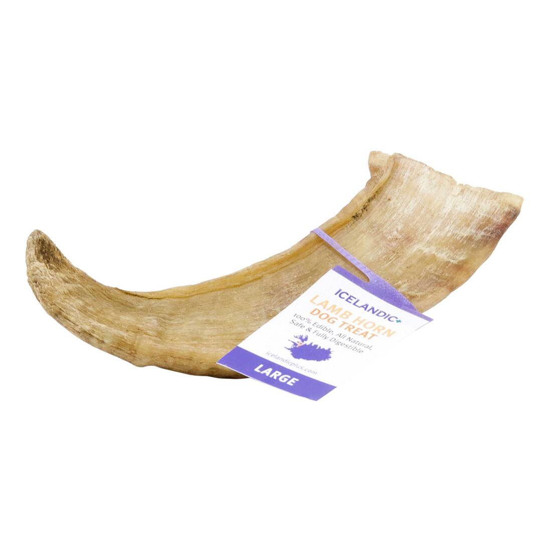 Icelandic Plus Lamb Horn, Large