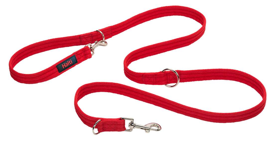Company Of Animals Training Lead, Small