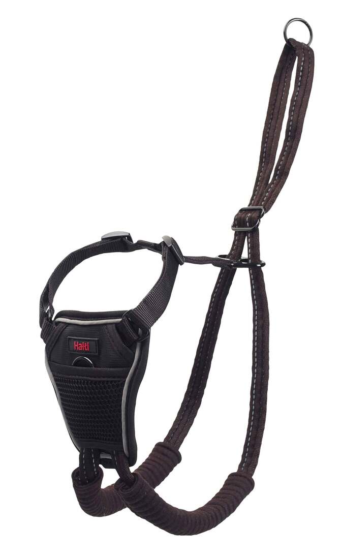 Company Of Animals No Pull Harness, Small