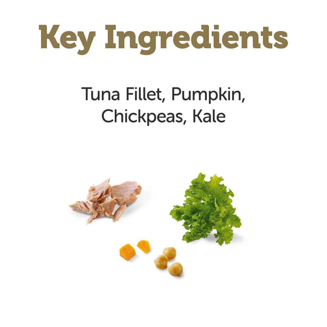 Applaws Taste Toppers Natural Wet Dog Food, Tuna Fillet with Pumpkin, Chickpeas and Kale in Broth, 3