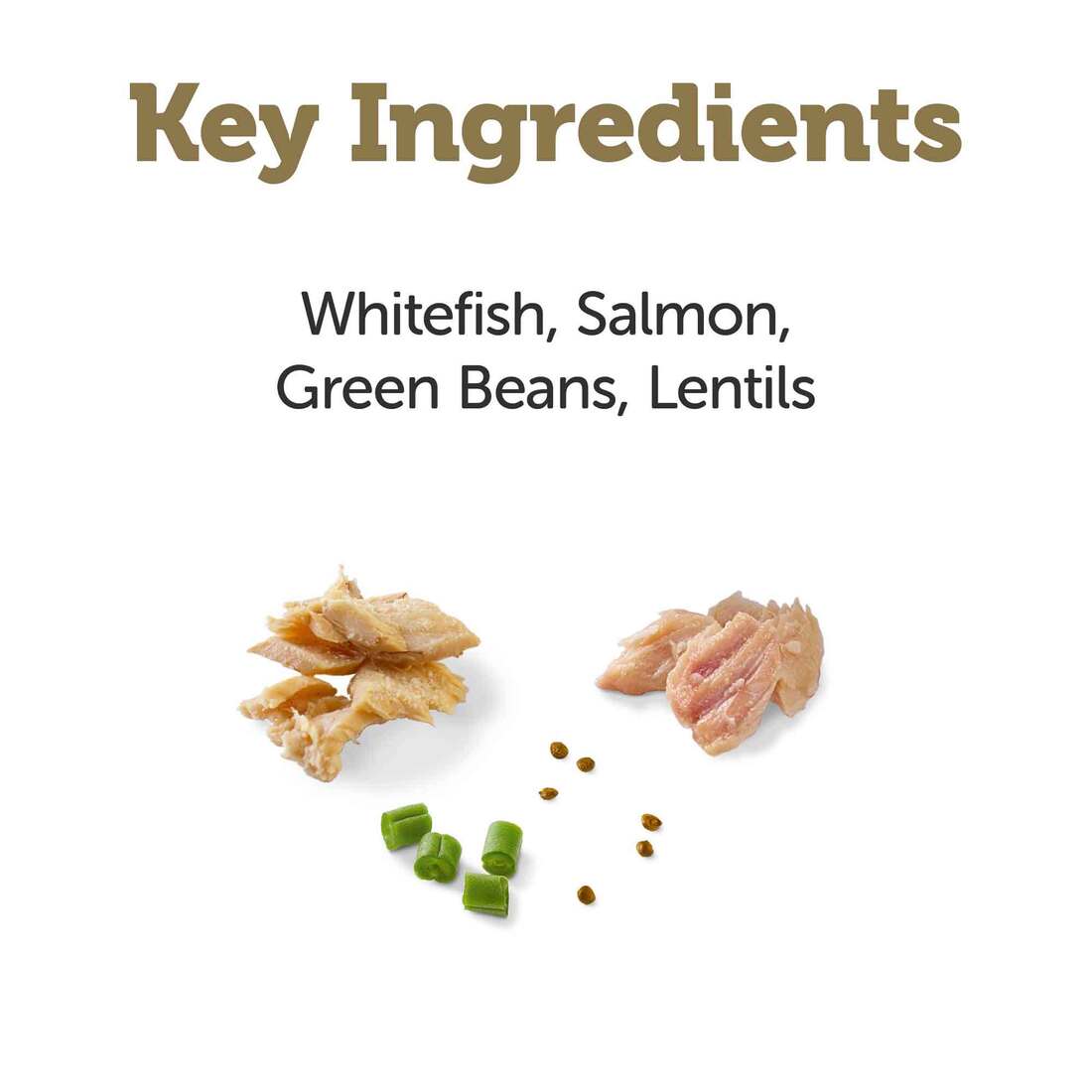 Applaws Taste Toppers Natural Wet Dog Food, Whitefish with Salmon, Green Beans & Lentils in Gravy, 3