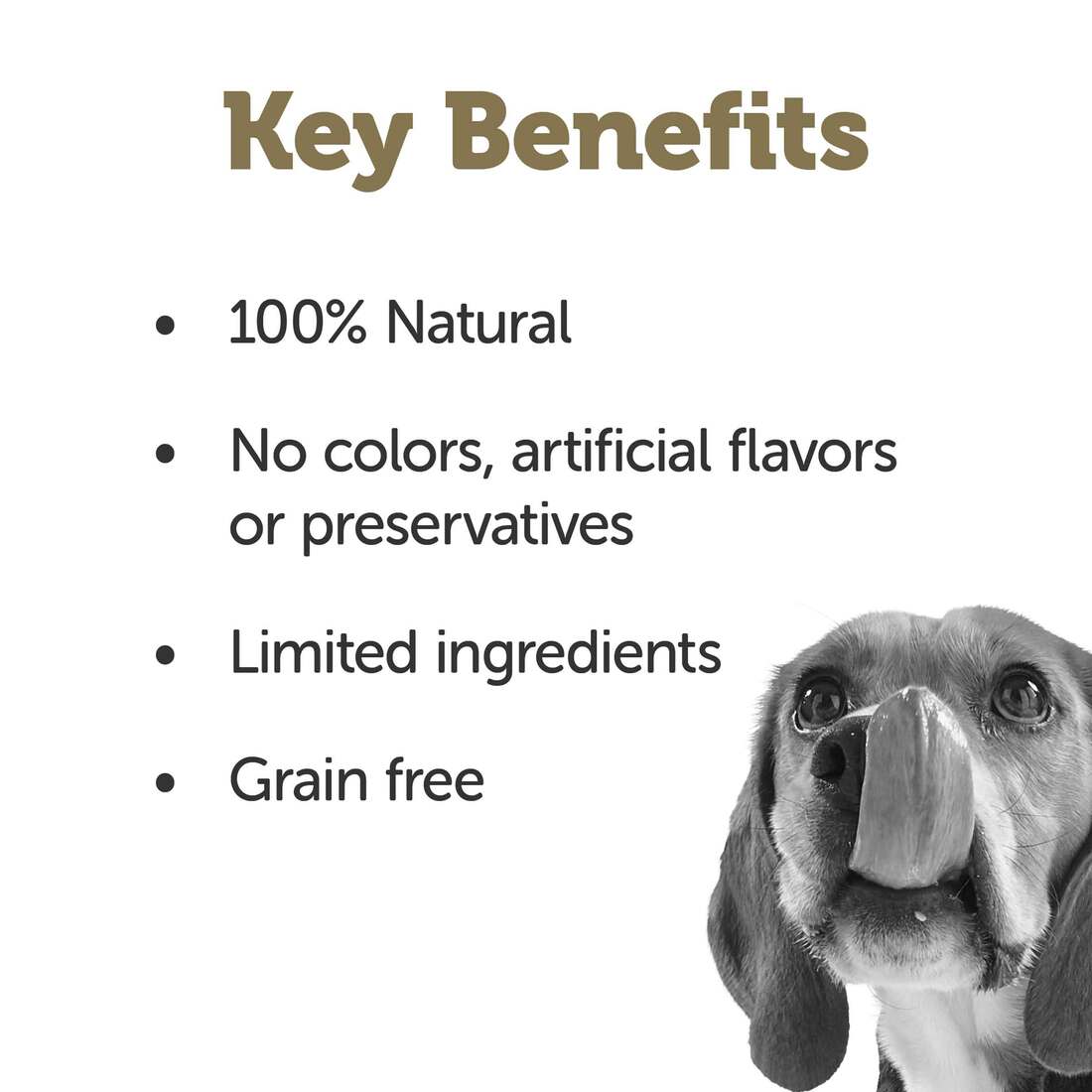 Applaws Taste Toppers Natural Wet Dog Food, Whitefish with Salmon, Green Beans & Lentils in Gravy, 3