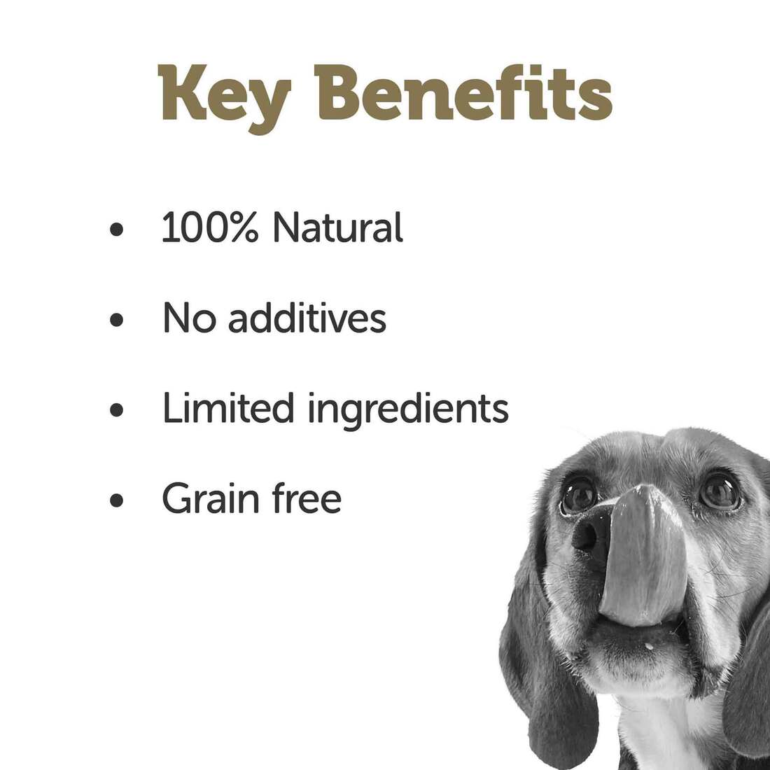 Applaws Taste Toppers Natural Wet Dog Food, Chicken Breast with Salmon & Vegetables in Broth, 5.5 Ou