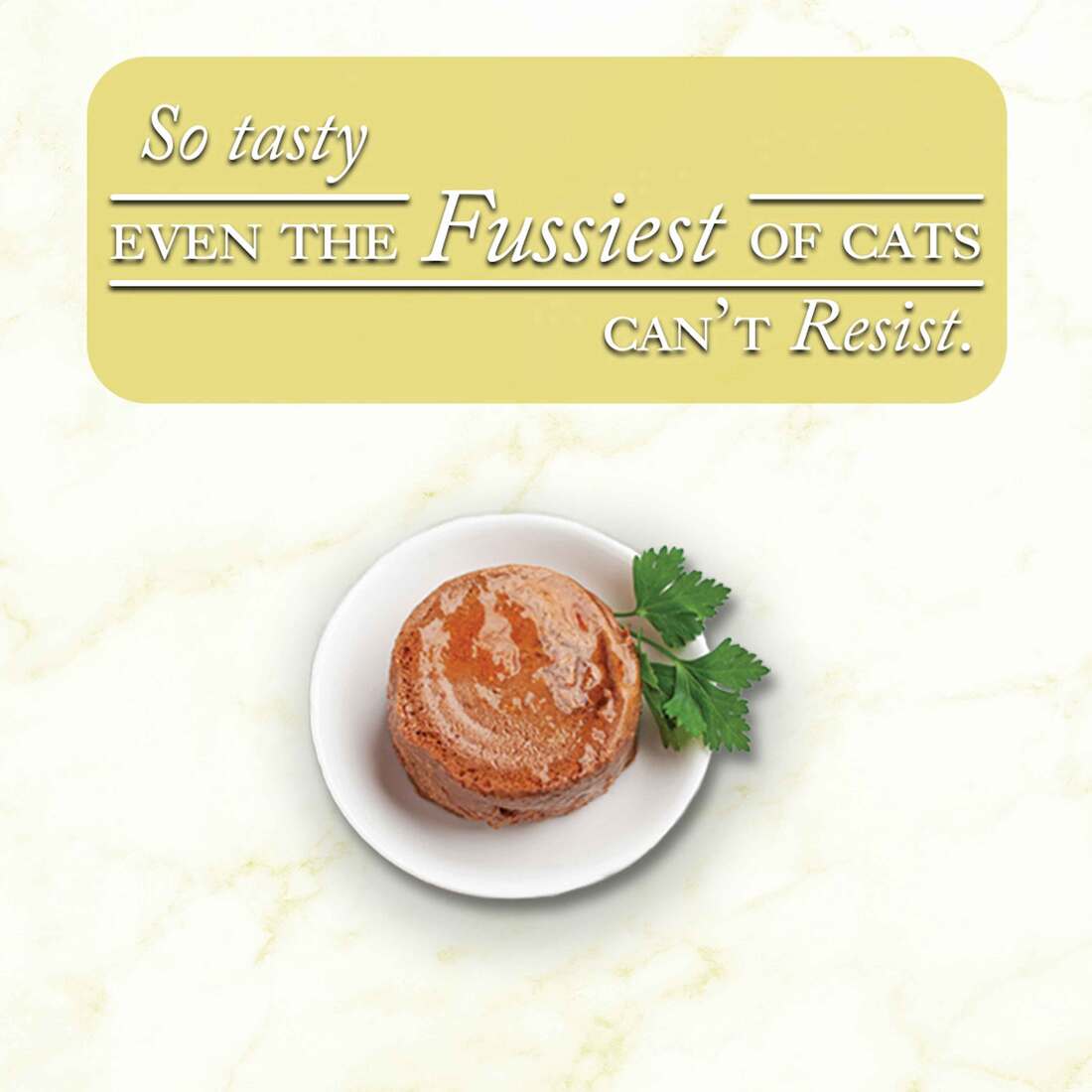Fussie Cat Fine Dining Pate Wet Cat Food, Chicken with Lamb in Gravy, 2.82 Ounces