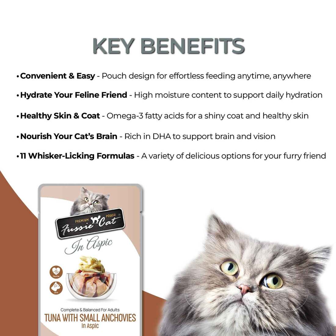 Fussie Cat Premium Wet Cat Food Pouch, Tuna with Smal Anchovies In Aspic, 2.47 Ounces