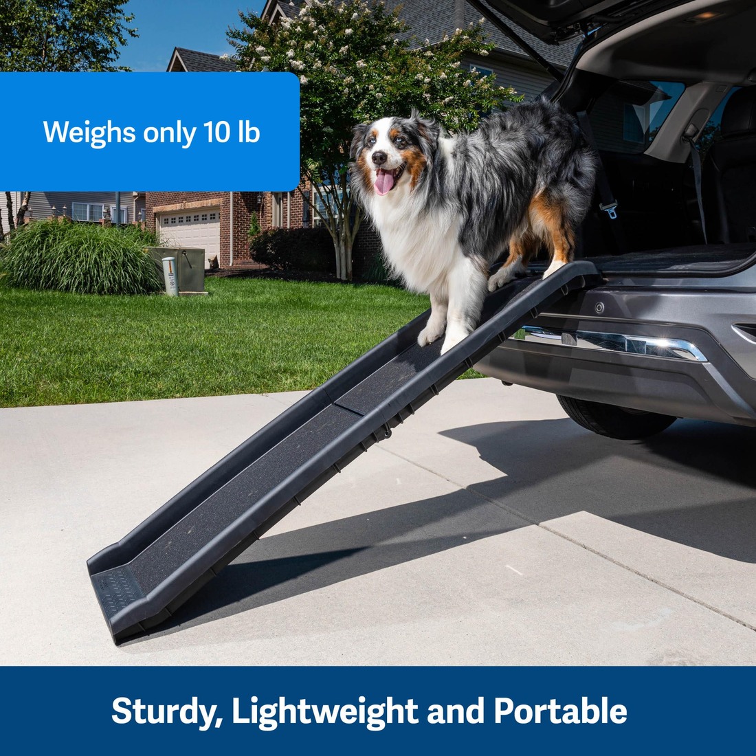 Petsafe Travel Happy Ride Folding Dog Ramp