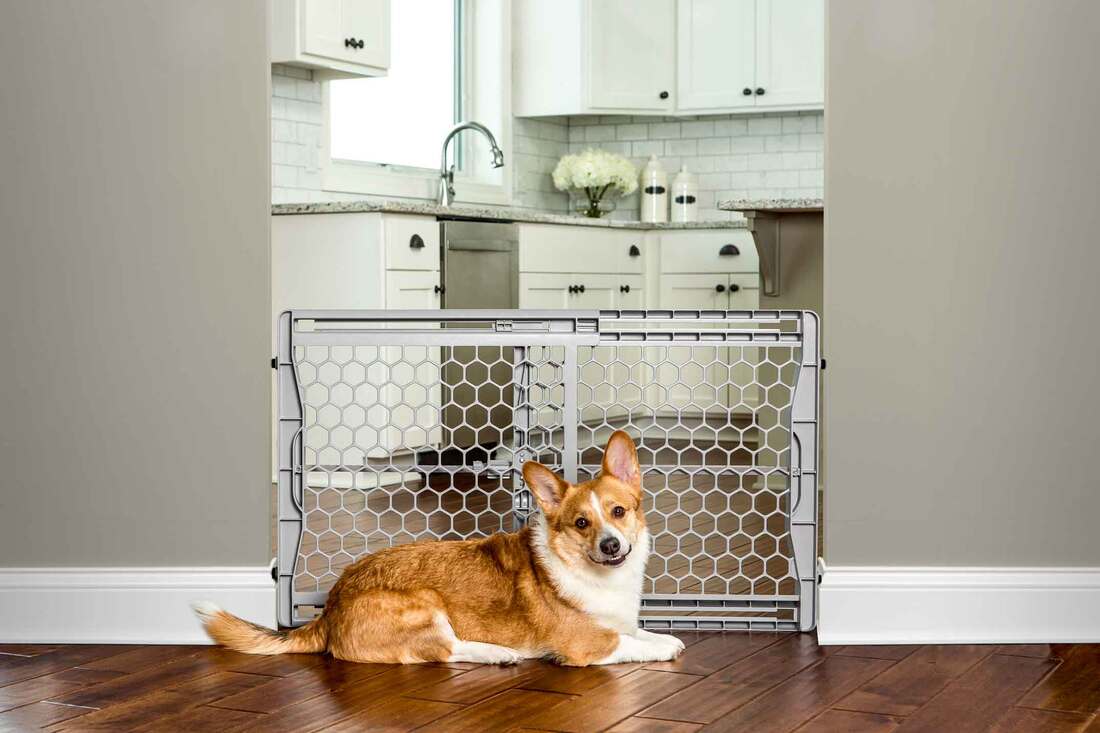 Carlson Plastic Expandable Gate