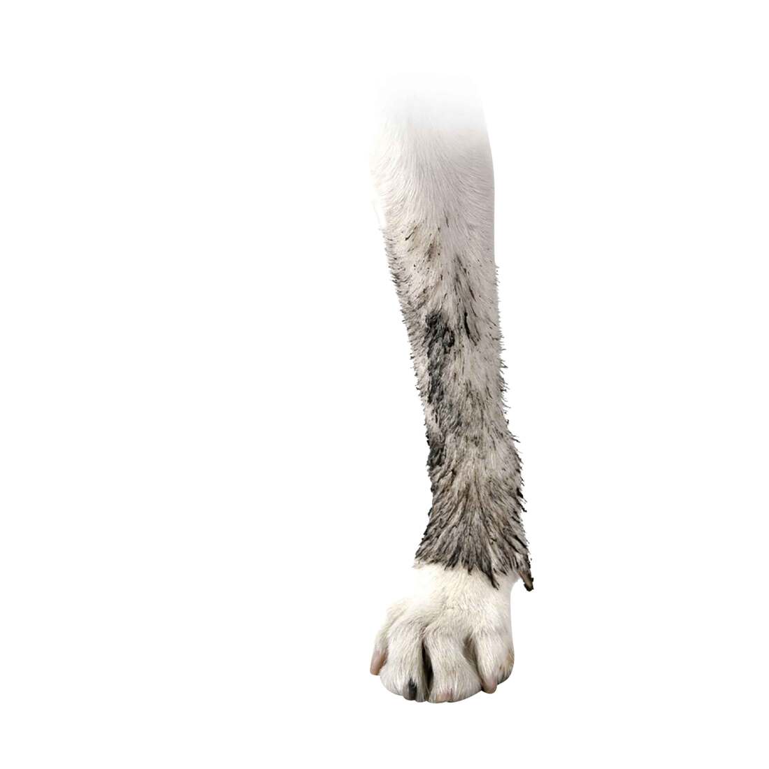 897515001147_3