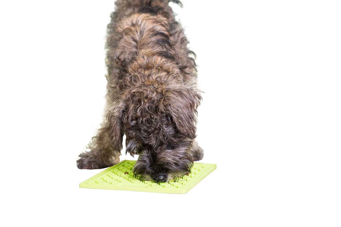 Lickimat Buddy, Green