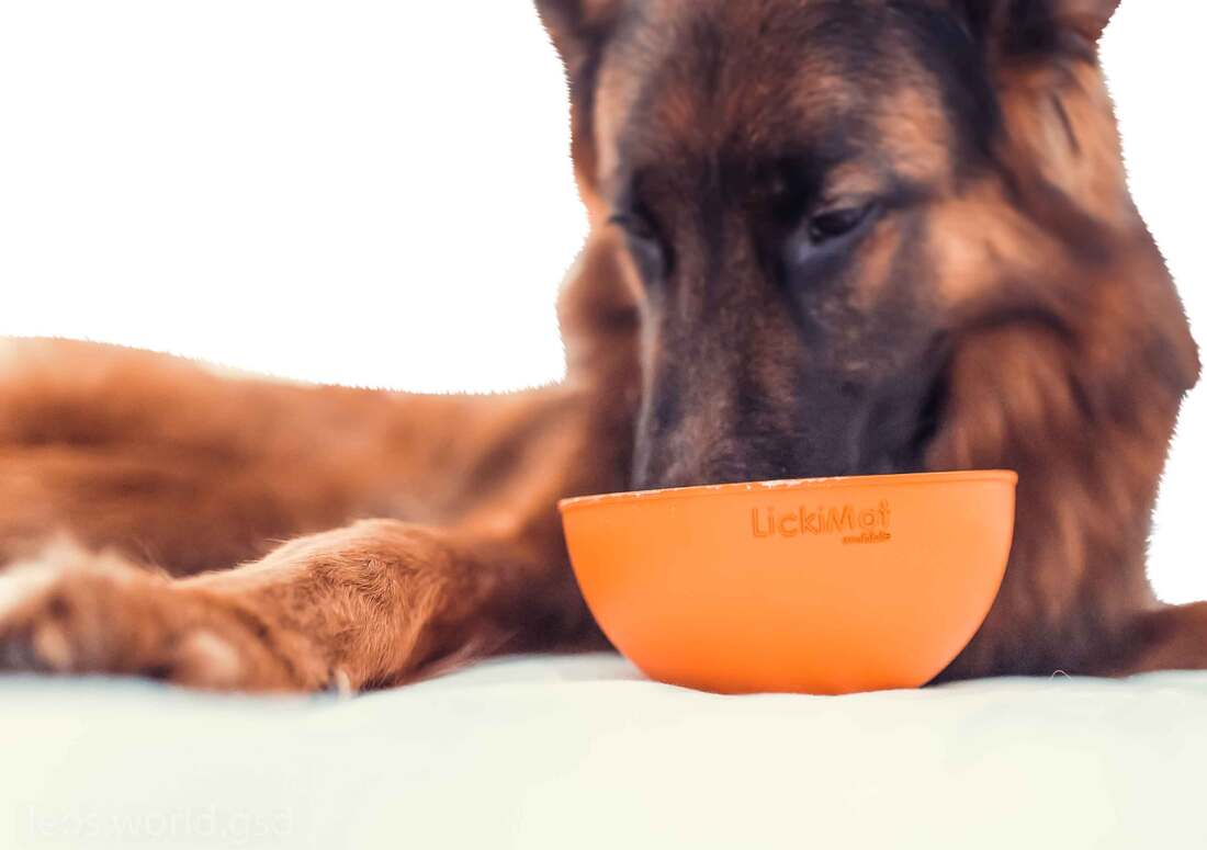 Lickimat Dog Feeding Wobble, Orange