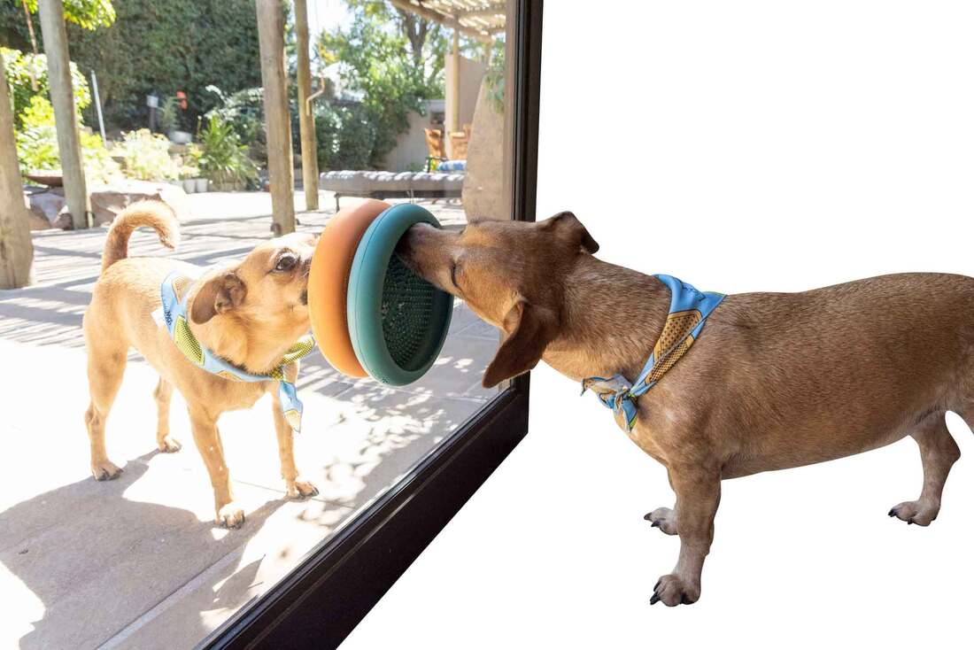 Lickimat Dog Feeding UFO, Green