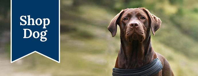 Blue Buffalo Shop Dog